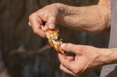 Şişte ızgara tavuk eti. Piknik, kamp için yemek ve partiler..