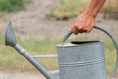 Adam büyük bir su bidonu tutuyor. Bahçesinde sulama kutusu olan bir adam. Bahçe işleri ve sulama bitkileri. Bahçe işleri konsepti. Yaz sıcağı. Kırsal biçim.