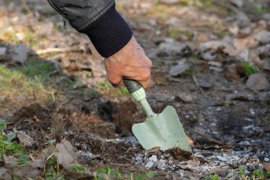 Küçük bahçe spatulası. Bir adam ateşi toprakla kapatır. Doğada dikkatsiz ateş tutma sorunu..