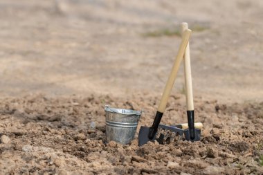 Bahçe aletleri. Budama, bahçecilik ve sebze bahçesi..