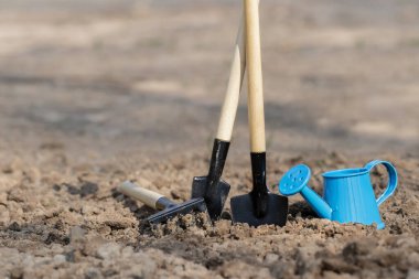 Bahçe aletleri. Budama, bahçecilik ve sebze bahçesi..