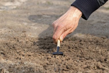 Bahçe aletleri. Budama, bahçecilik ve sebze bahçesi..