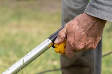 Elektrikli çim biçme makinesi. Çimlerin üzerinde profesyonel bahçe aletleri. Arka bahçede bahçe bakımı..