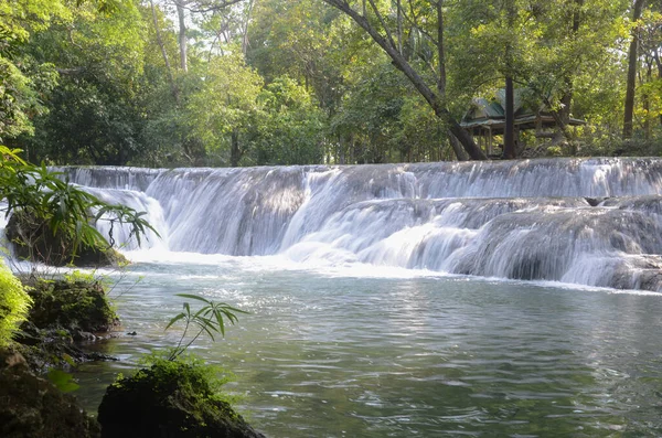 Güzel manzara. Muak Lek Şelalesi 'nin Saraburi' deki muak lek botanik bahçesindeki görüntüsü. Tayland 'da popüler turizm