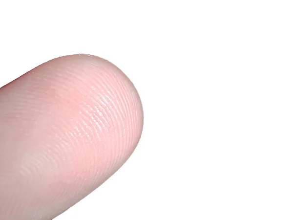 Closeup Fingerprint Texture Finger Skin Macro Photography Isolated White Background — Stock Photo, Image
