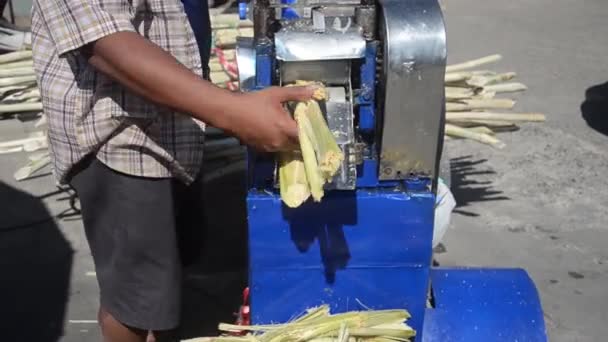 サトウキビからジュースを粉砕および抽出するための小さなマシン 市場タイ — ストック動画