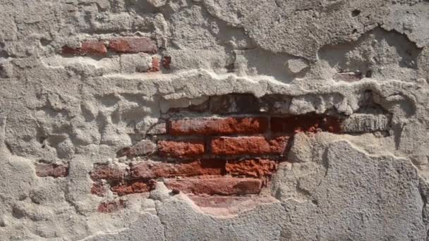 Old Brick Wall Peeling Cement Caused Earthquake State Disrepair — Vídeo de Stock