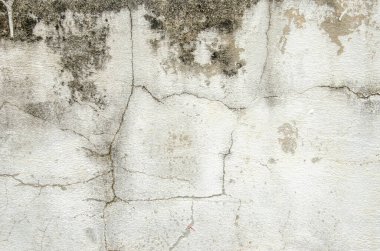 Small cracks on old cement surface with mold on surface