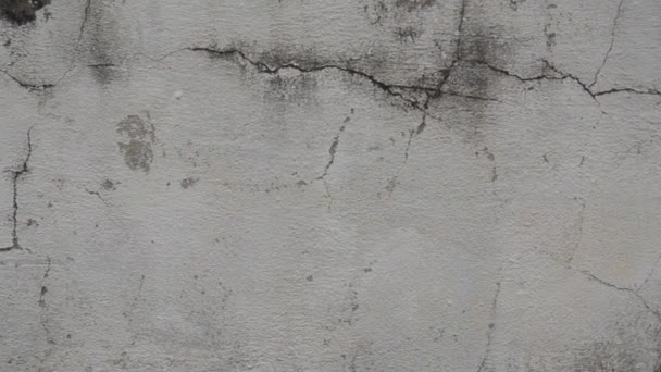 Невеликі Тріщини Старій Цементній Поверхні Цвіллю Поверхні — стокове відео
