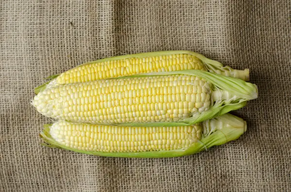Corn Brown Cloth Bag Top View — Stock Photo, Image