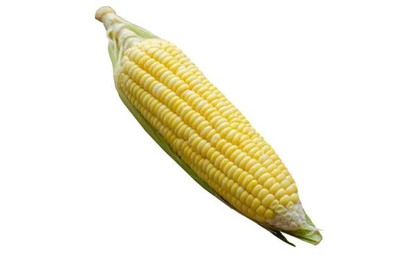 Jedna Kukurydza Odizolowana Białym Tle Ścieżką Wycinania Widokiem Boku Zbliżeniem — Zdjęcie stockowe