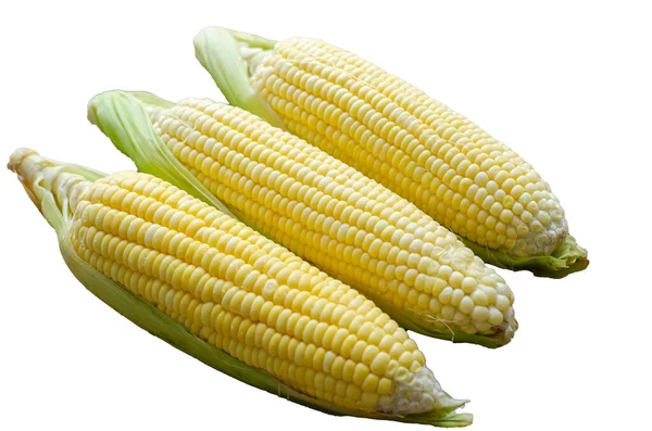 Group Corn Isolated White Background Clipping Path Side View Closeup — Stock Photo, Image