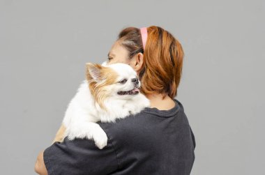 Genç Asyalı kadın gülümseyen bir chihuahua köpeği tutuyor.