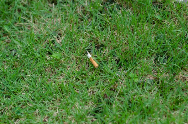 Vista Superior Das Pontas Cigarro Parque Poluir Ambiente — Fotografia de Stock