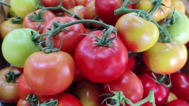 Tomates Acostados Una Pila Venta Mercado Textura Tomate — Vídeo de stock