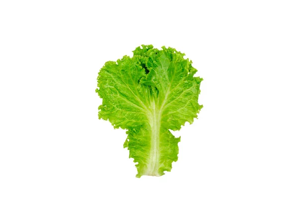 Saláta Levelek Elszigetelt Fehér Háttér Nyírás Útvonal Saláta Egészséges Étel — Stock Fotó