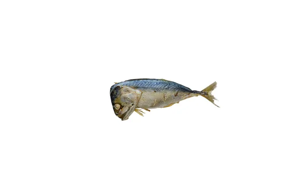 One Steamed Mackerel Thai Food Isolated White Background Clipping Path — Stock Photo, Image