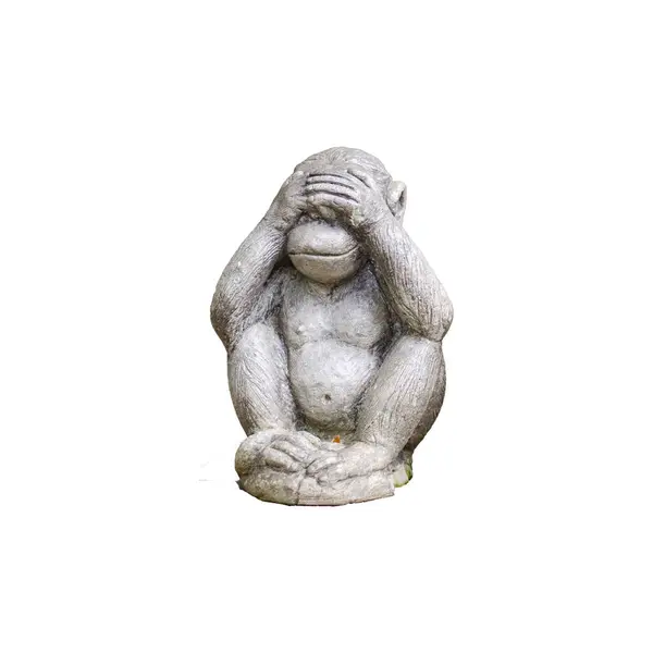 目を閉じるというコンセプトを持つ猿の小さな像は 悪を見ることはありません クリッピングパスで白い背景に隔離された — ストック写真