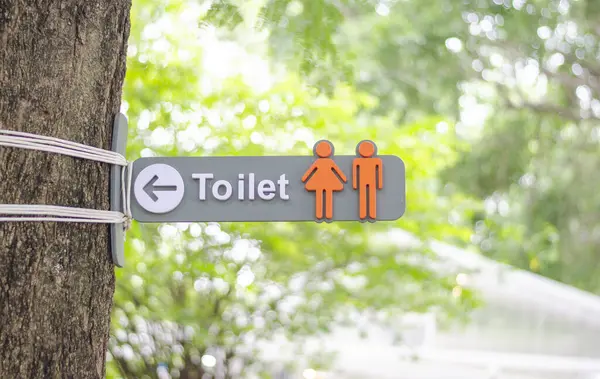 Знак Общественного Туалета Привязан Дереву Идея Стоковое Изображение