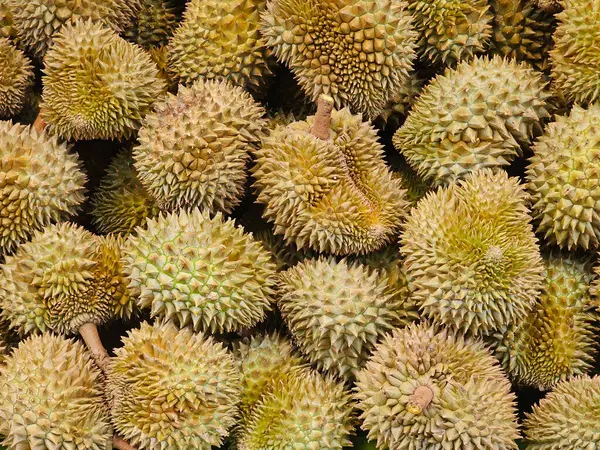 Background Durian Fruit Thailand Thais Foreigners — Stock Photo, Image