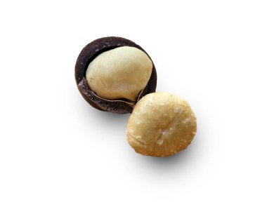 Bir Macadamia fıstığının iki yarısının yakın görüntüsü. Bir yarısı koyu kahverengi kabuğuyla kaplanırken, diğer yarısı kabuğundan kurtuldu. kırpma yolu ile beyaz arkaplanda izole