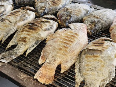 Yakacak odun ızgarasında tuzlanmış ızgara Red Tilapia balığı..