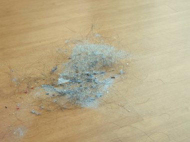 Kirli toz ve saçlar ahşap zemine saçılmıştı. Hastalık ve bakterilerin kaynağı. Alerjik hastalıklara neden olur.