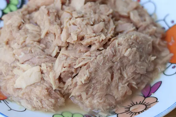 Tabaktaki kaynak suyunda konserve ton balığının yakın görüntüsü