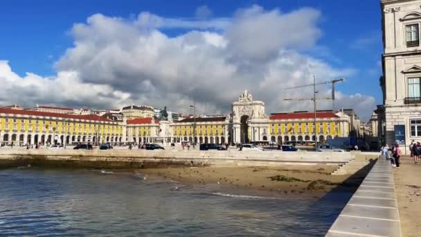 Pigeons Feeding Sand Beach Next Praca Comercio Lisbon — Stock Video