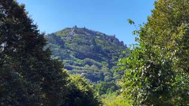 青翠森林的山顶上的佩纳国家宫城墙是辛特拉的前沿阵地 — 图库视频影像