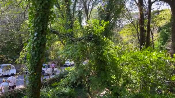 从位于Sintra的Pena国家宫旁边的公路上的公园观看 — 图库视频影像