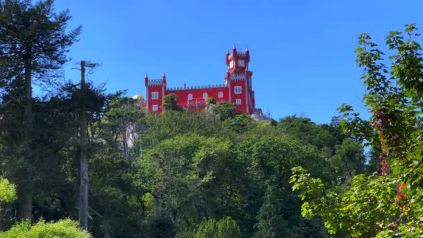 葡萄牙辛特拉佩纳国家宫 — 图库视频影像