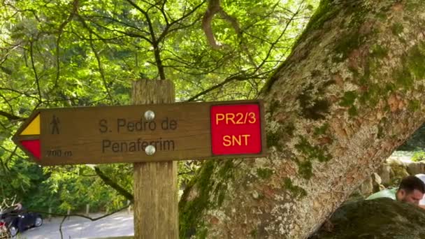 Pedro Penafirrim Signpost Next National Palace Pena Sintra — Stock Video