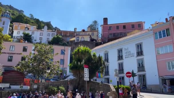Prachtige Gebouwen Met Groen Bos Achtergrond Sintra — Stockvideo