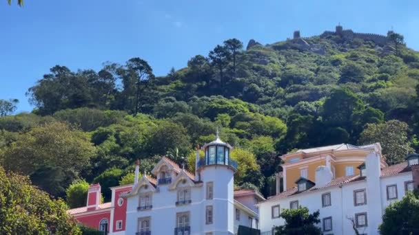 Beaux Bâtiments Avec Forêt Verte Arrière Plan Sintra — Video