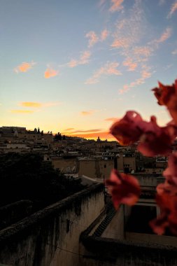Fez 'deki eski Medine manzaralı kırmızı çiçeğin yakın çekimi. Arka planda günbatımı gökyüzü var.