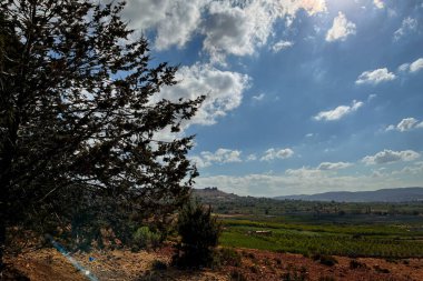 Afrika 'daki tarım arazilerinin panoramik görüntüsü