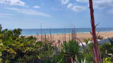 İnsanlar Carcavelos, Portekiz sahillerinde eğleniyorlar.