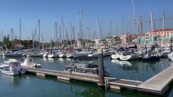 Barcos Atracados Puerto Deportivo Santa Maria Belem Lisboa — Vídeos de Stock