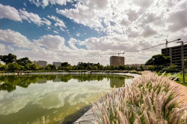 Şehir parkının ortasında yapay göl