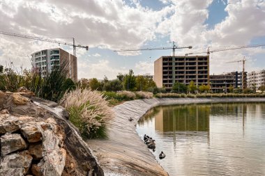 Şehir parkının ortasında yapay göl