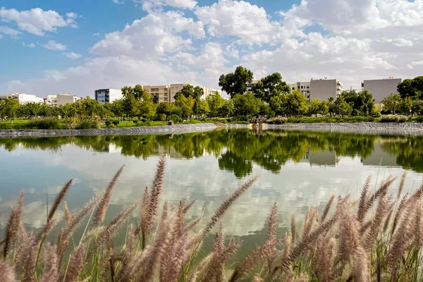 stock image Artificial lake in the middle of an urban park