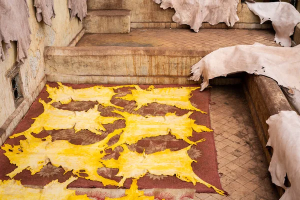 Yellow dyed hides set out to dry in a tannery in the old medina of Fez