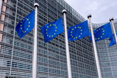 Brüksel, Belçika 'daki Avrupa Komisyonu Genel Merkezi önünde Avrupa Bayrakları