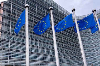 Brüksel, Belçika 'daki Avrupa Komisyonu Genel Merkezi önünde Avrupa Bayrakları