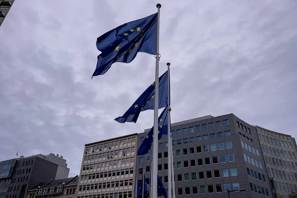欧州連合 の旗が背景に曇り空で屋外に手を振って — ストック写真