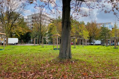 Molenbeek Saint-Jean parkı Brüksel 'de güneşli bir sonbahar gününde