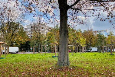 Molenbeek Saint-Jean parkı Brüksel 'de güneşli bir sonbahar gününde
