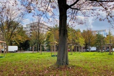 Molenbeek Saint-Jean parkı Brüksel 'de güneşli bir sonbahar gününde