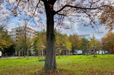 Molenbeek Saint-Jean parkı Brüksel 'de güneşli bir sonbahar gününde